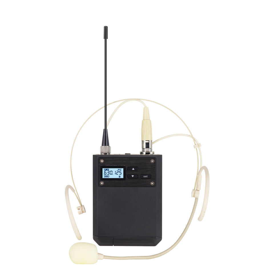 ERZHEN Ultra-High Frequency 2-Channel Wireless Microphone System #U250
