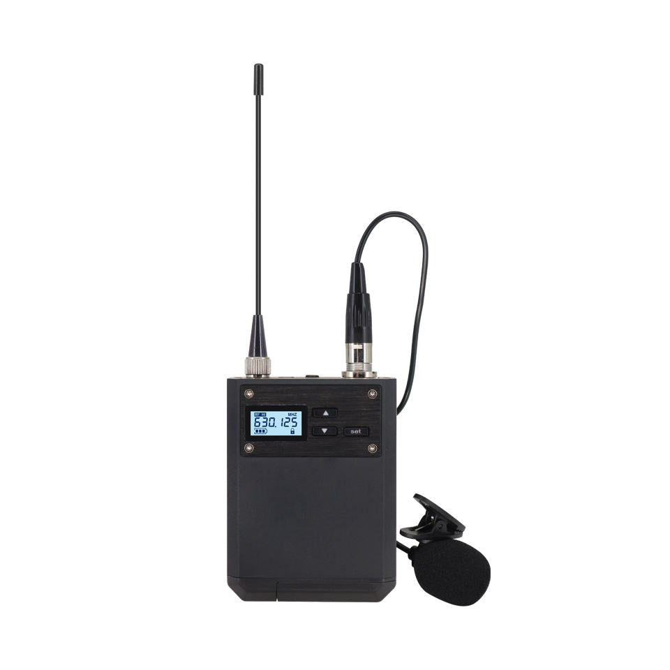 ERZHEN Ultra-High Frequency 2-Channel Wireless Microphone System #U250